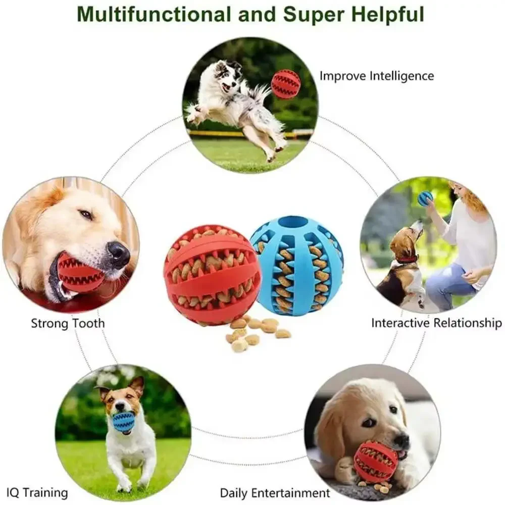 Dog Toy Ball, Nontoxic Bite Resistant Toy Ball for Pet Dogs Puppy Cat, Dog Pet F